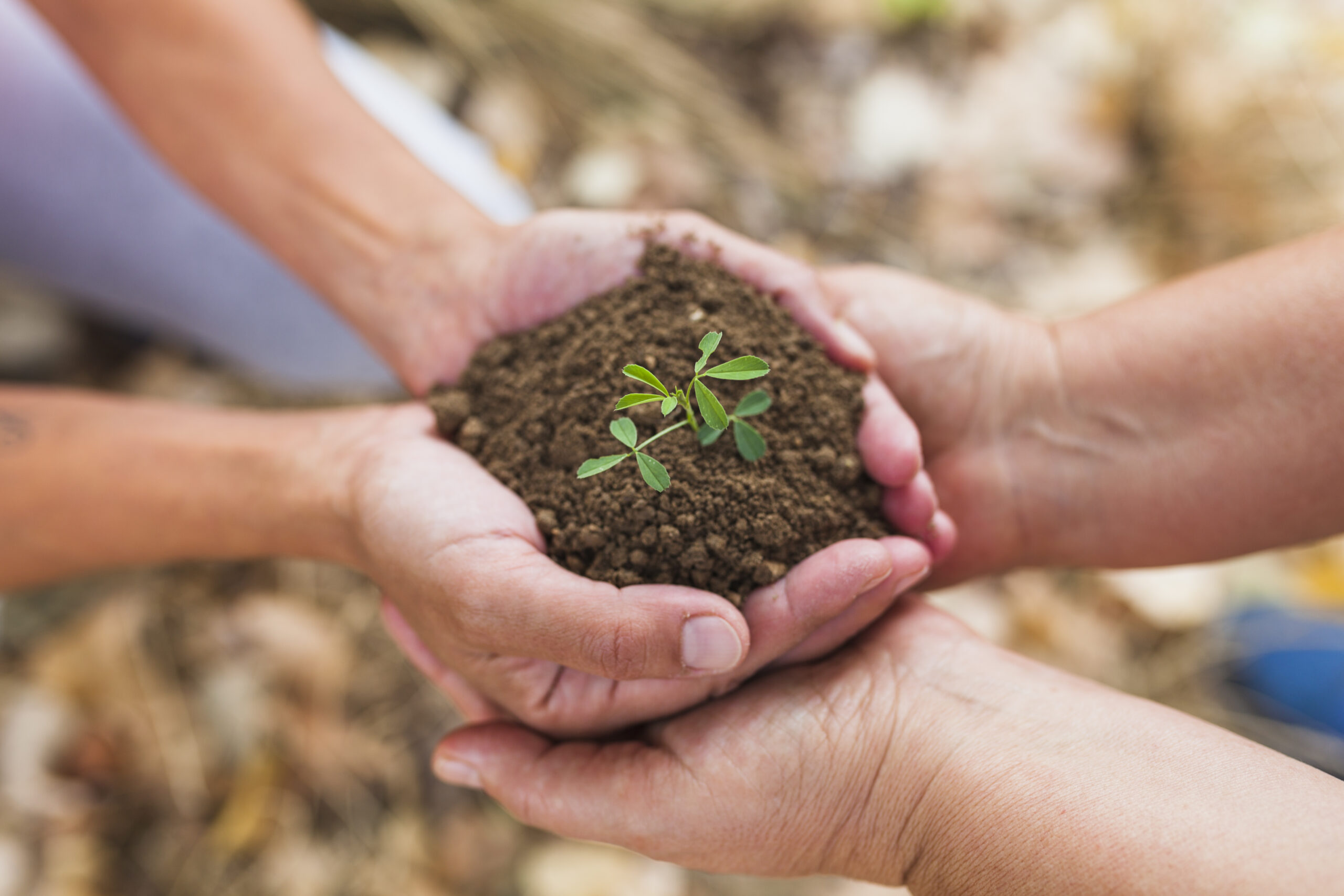 Cobre San Rafael presenta “TERRAS”: su Estrategia de Responsabilidad Social Corporativa