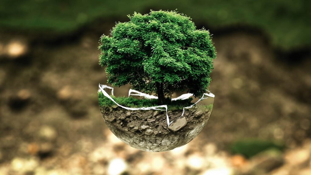 Rehabilitacion medioambiental