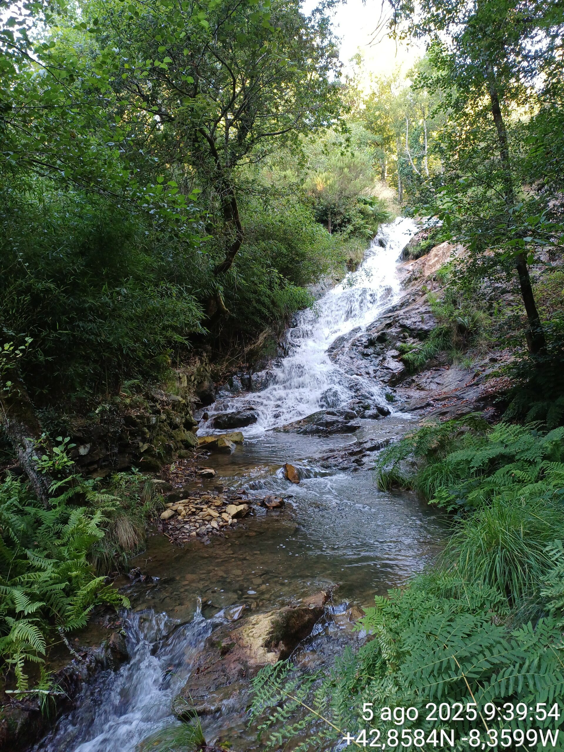 Avanzamos en la mejora de las aguas del rego Pucheiras