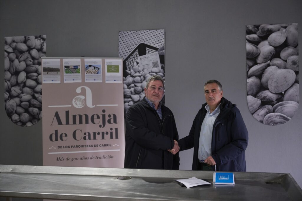 CSR Carril2